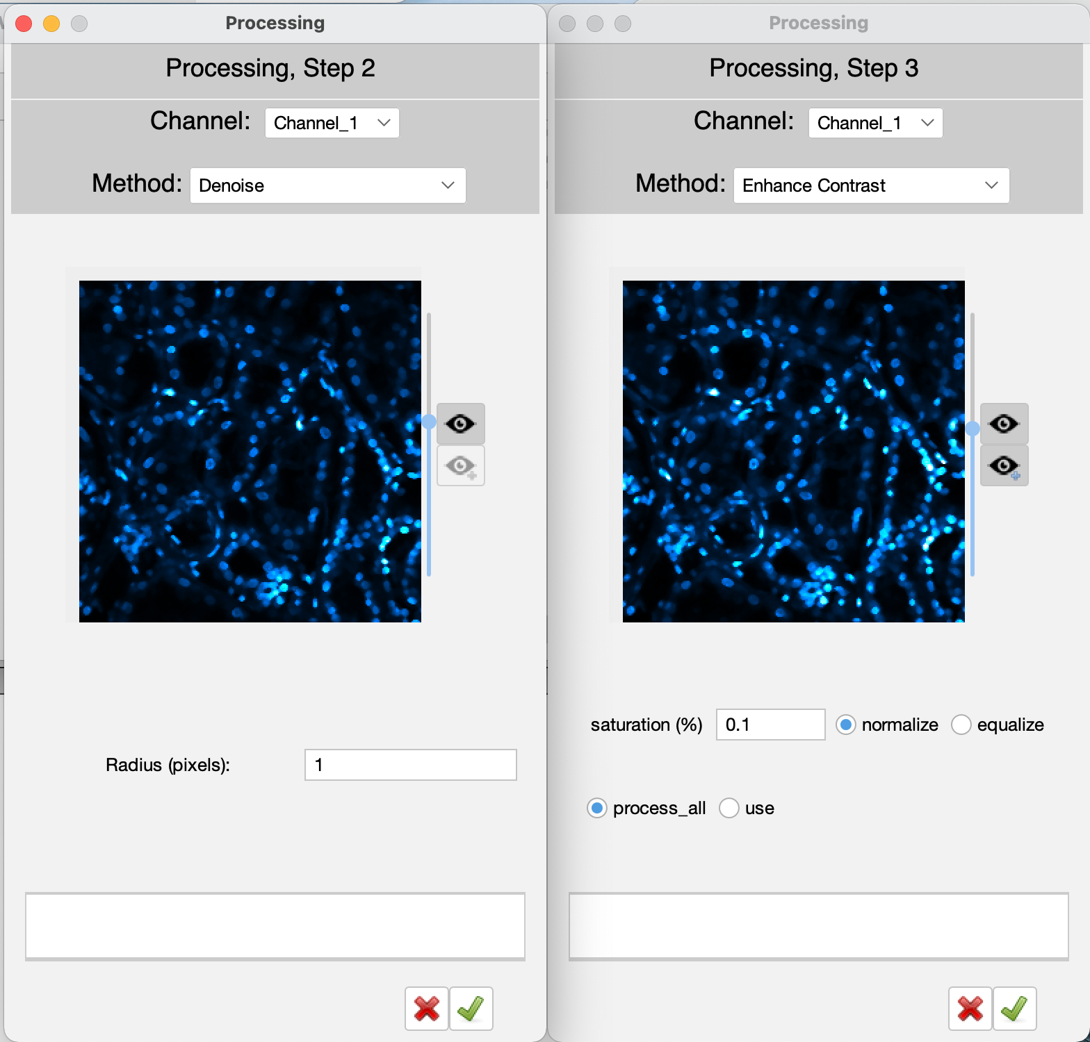 Screenshot of image pre-processing.
